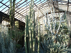 410 Longwood Gardens [2008 August 23]